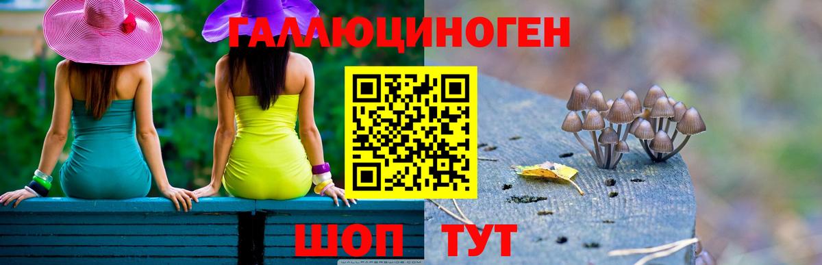 где найти наркотики  Вход с VPN  Полысаево  Галлюциногенные грибы Psilocybine cubensis 